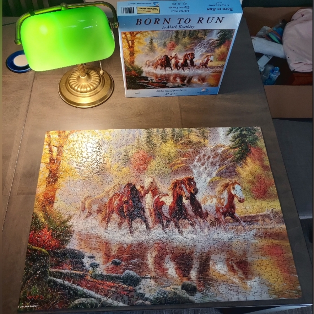 Born To Run 1000 Pc Puzzle